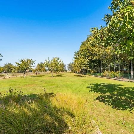 Villa With Heated Swimming Pool, Sauna And Garden Damme Exteriér fotografie