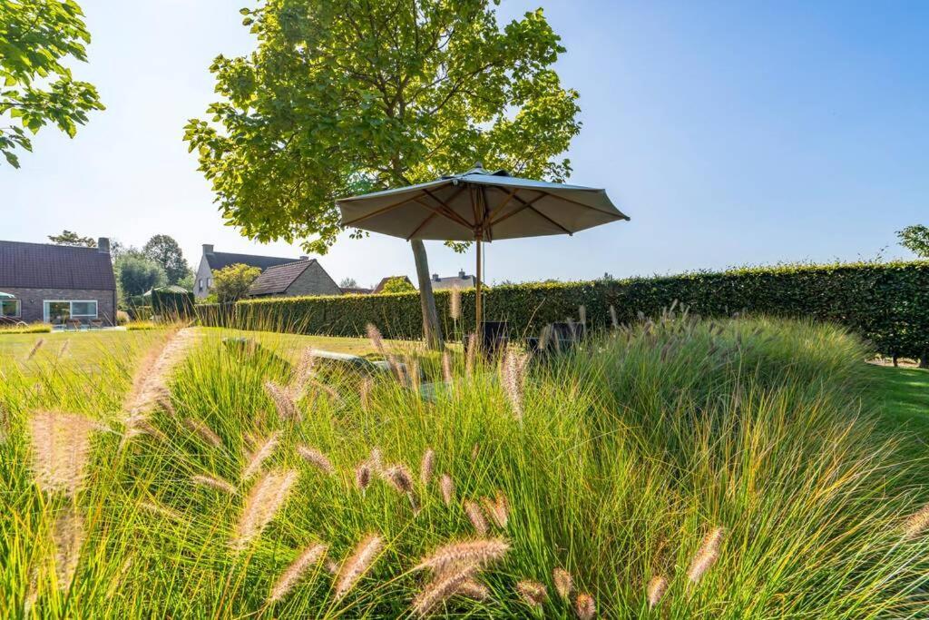 Villa With Heated Swimming Pool, Sauna And Garden Damme Exteriér fotografie