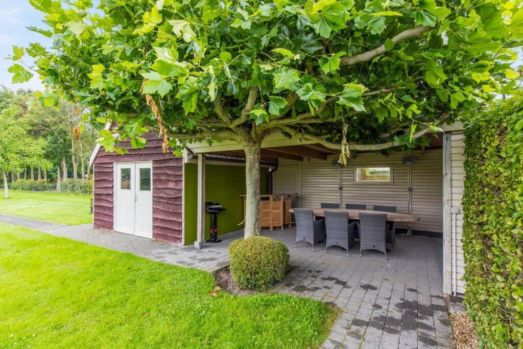 Villa With Heated Swimming Pool, Sauna And Garden Damme Exteriér fotografie