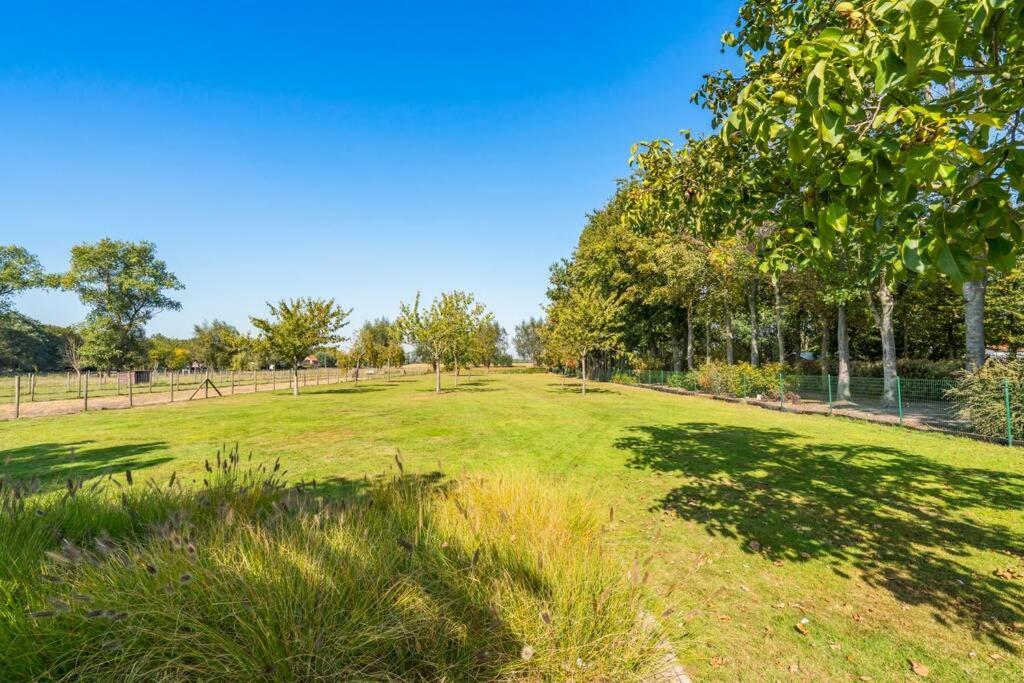 Villa With Heated Swimming Pool, Sauna And Garden Damme Exteriér fotografie